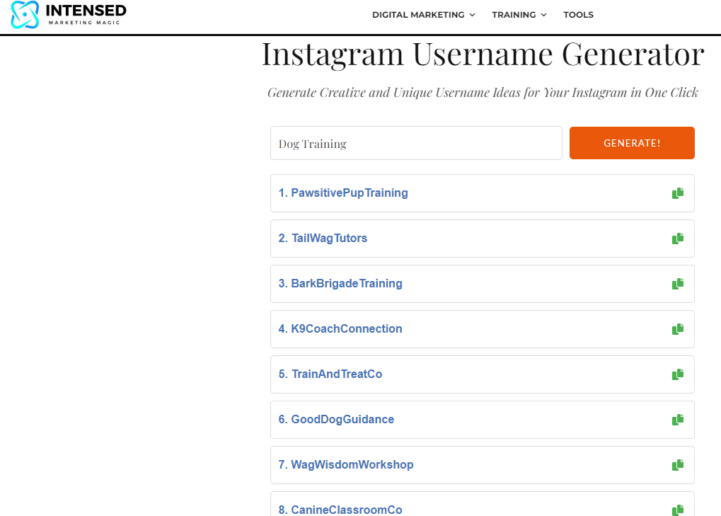 How to Use Intensed.com Instagram Username Generator